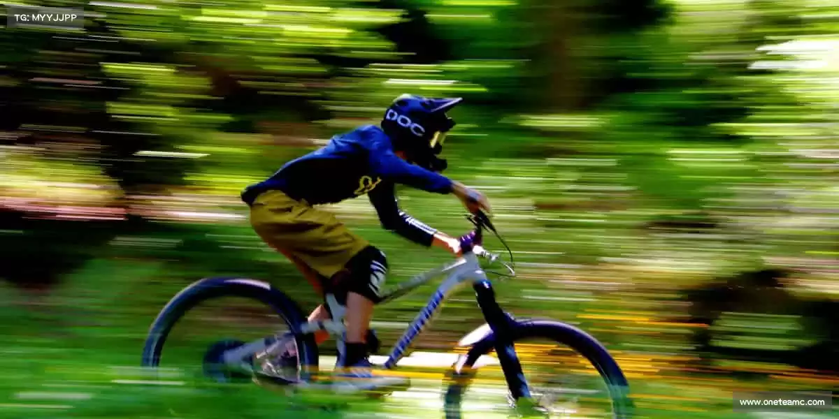 我们的品牌价值